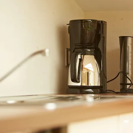 シャレー Holiday Lodge Central ザールバッハ・ヒンターグレム